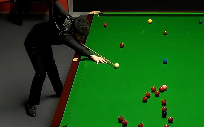 所强调的 所强调的